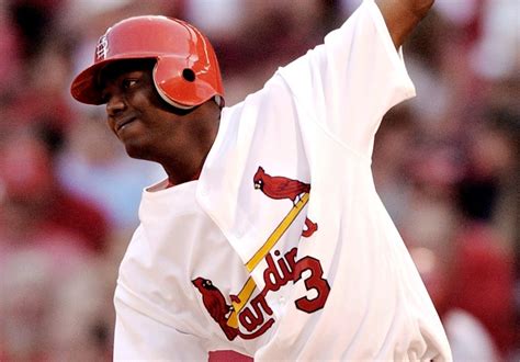 stl cardinals news